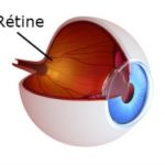 oeil-retine-