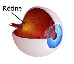 oeil-retine-