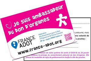 Carte-Ambassadeur-2017-300