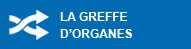 La greffe d'organes